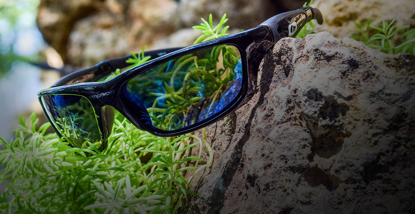 Amphibia sunglasses deals