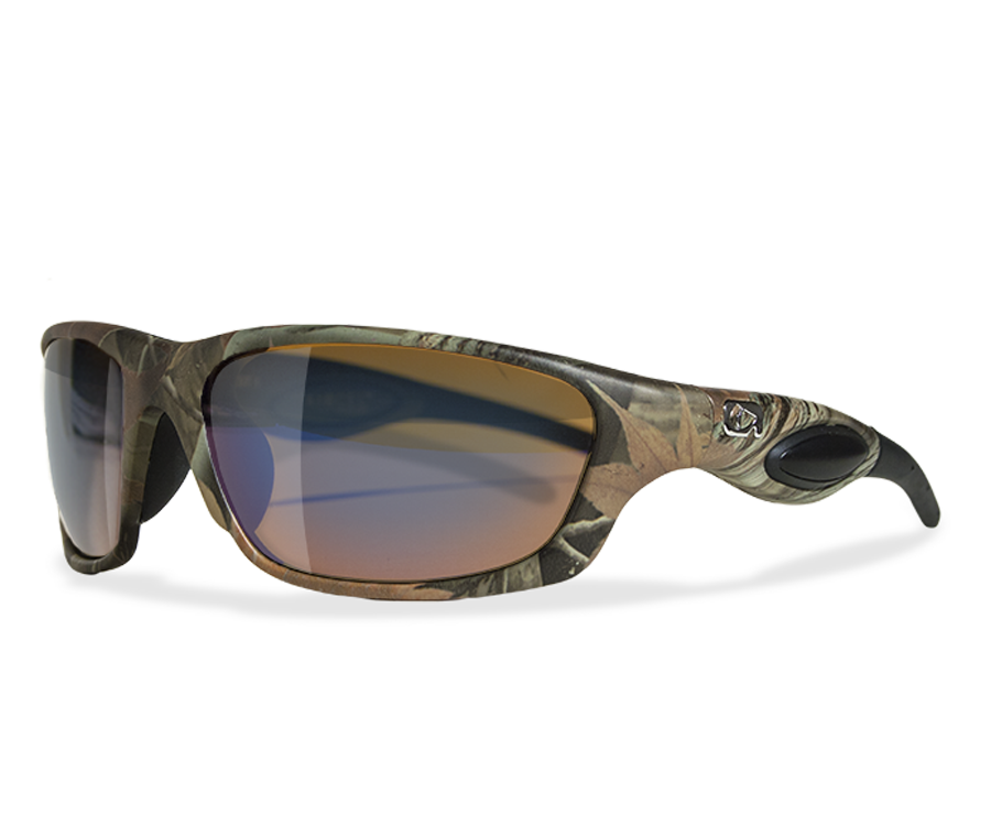 Amphibia glasses shop